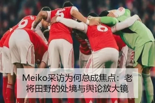 Meiko采访为何总成焦点：老将田野的处境与舆论放大镜